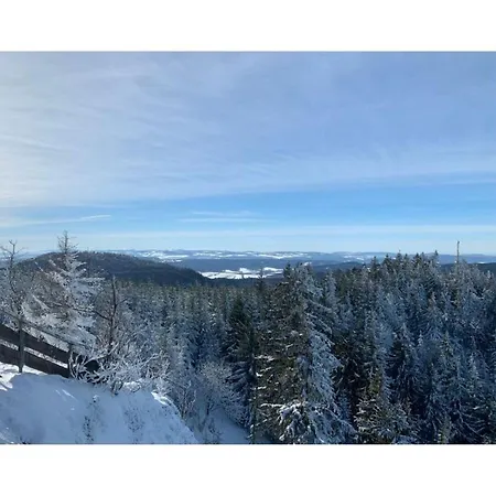 Apartman Pleasant In